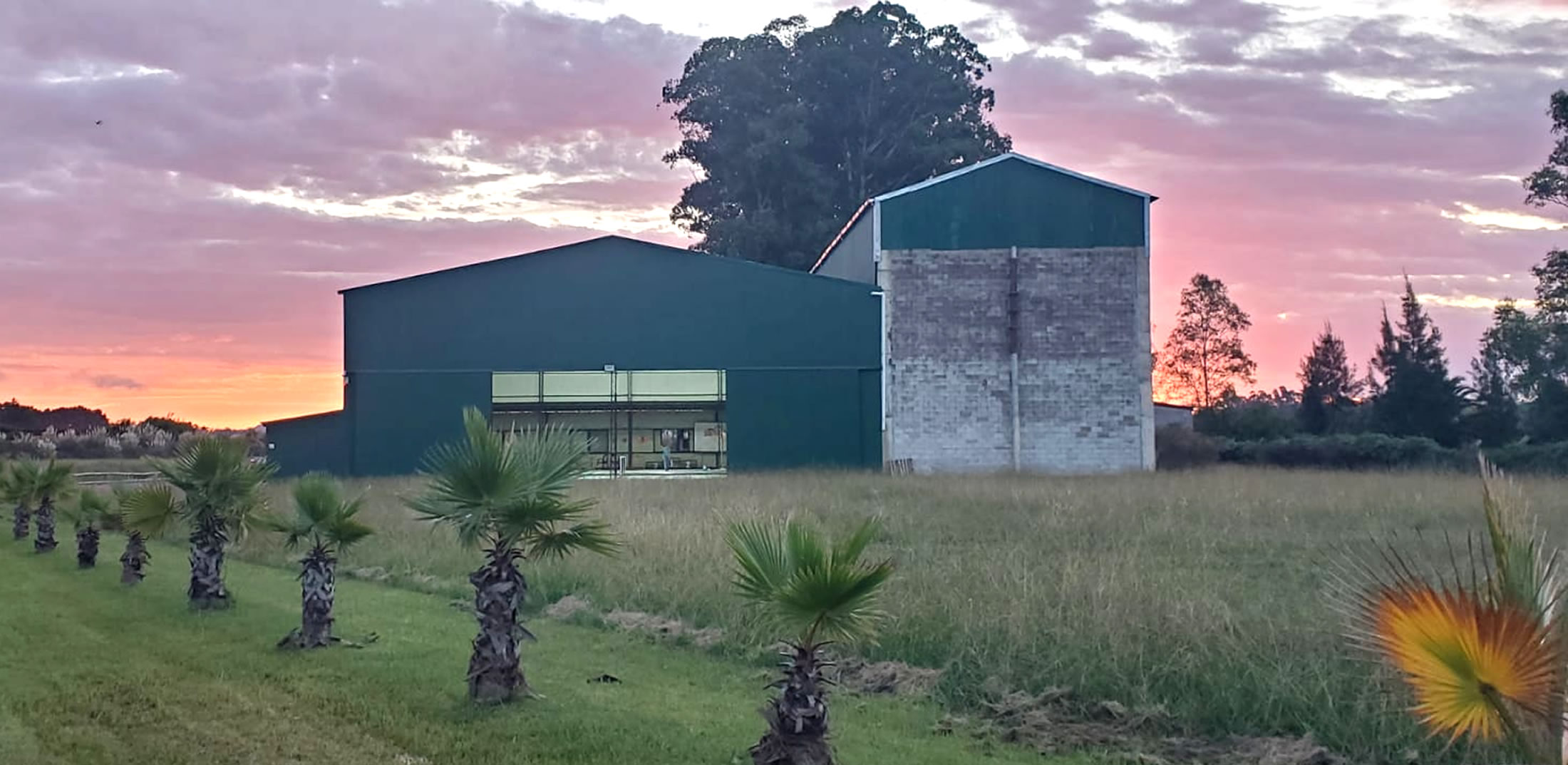  Pickleball Punta del Este - Imagen 4